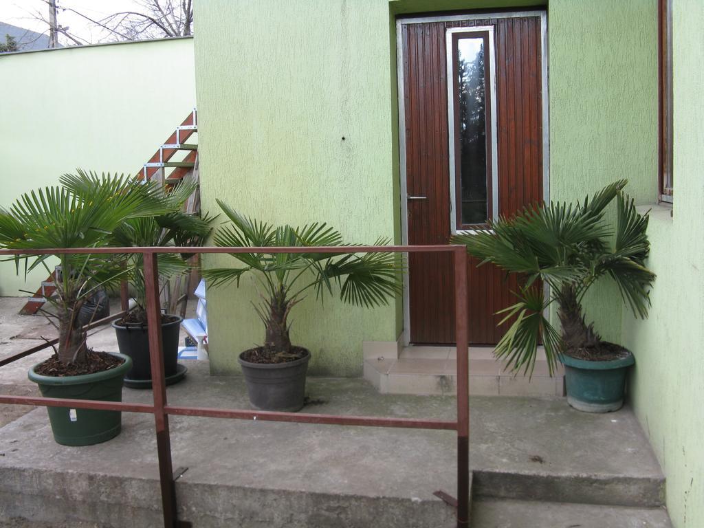 Casa de hóspedes Karpati *